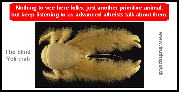 The Yeti crab is blind, yet still manages to see better than atheists with eyes that can see.